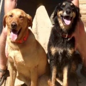 Meet your Posher, Ed